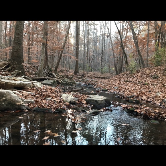 Meet your Posher, Jillian - Picture 1 of 1